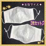 ★女性サイズの立体マスク★ 2枚セット!! 上下なし＆フィルターポケット付き