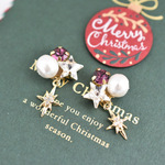 Happy Christmas🎄ピアスorイヤリング