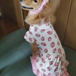 Sさま✨特別オーダー品
