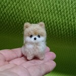ポメラニアン  柴犬カット 羊毛フェルト