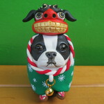獅子舞★ボストンテリア②