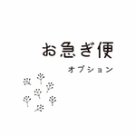 お急ぎ便