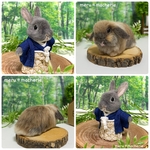【※Tomochi様　オーダー品】お着物うさぎ　くるみちゃん / リラックスうさぎ（香箱座り）フローラちゃん