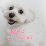 T様専用です