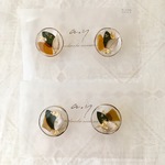 ピアス シーグラスとユーカリのピアス