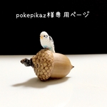 【pokepikaz様専用ページ】になります