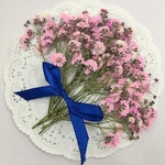  NO.606 限定5個❣️かすみ草   桜ピンク／押し花素材