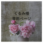 専用出品