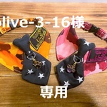 olive-3-16様　専用　cocoちゃんチョーカー5点　アリス・薔薇・迷彩・ミリタリー