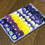 お花屋さんが作った可愛いビオラのドライフラワー    15