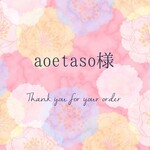 【aoetaso様専用ページ】