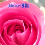 chibichibi-t 様専用ページです♡♡