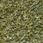 カモミール 100g　ハーブ　サシェ　ポプリ　香り袋　匂い袋　ドライ