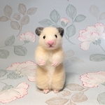 双子のキンクマハムスター弟くん