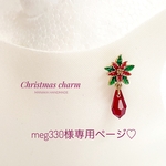 meg330様専用ページ♪  ꫛꫀꪝ✧‧˚クリスマス✨ポインセチアのマスクチャーム　マグネット　スワロフスキー　冬　クリスマス　ウィンター　マグネットピアス　