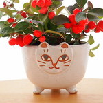 ネコ植木鉢　白