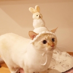 ふわふわ うさちゃん
