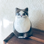 ハチワレ猫　hachiware neko (１点限り)