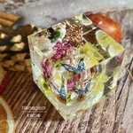 爛漫華キューブ