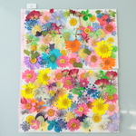 押し花小花セット（訳あり）