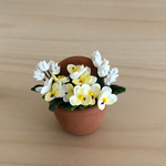 ビオラ　テラコッタ鉢植え　3