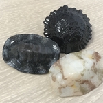 【在庫処分特価】磯の生き物ピンブローチ3点セット