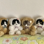 vanillaさま　専用ページ　変更追加作品です🐱　くまの着ぐるみ猫ちゃん
