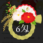  大きいサイズ4匁羽二重お正月5枚➕おまけセット