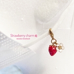 人気♪マスクチャーム　いちご🍓　春　ショートケーキ　いちご狩り　子供　いちごの花　いちご好き　花言葉　幸福な家庭　先見の明　プレゼント　新春　