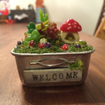 ミニチュア♡多肉植物ときのこのお家♡
