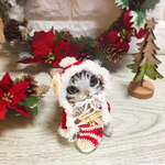 クリスマスにゃんこさん