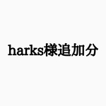 追加分