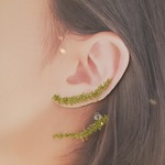 コツボゴケピアス
