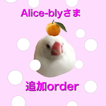 alice-blyさま　★追加分★1/3