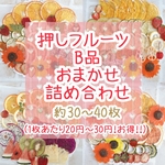 押しフルーツ B品 おまかせ詰め合わせ (約30～40枚)