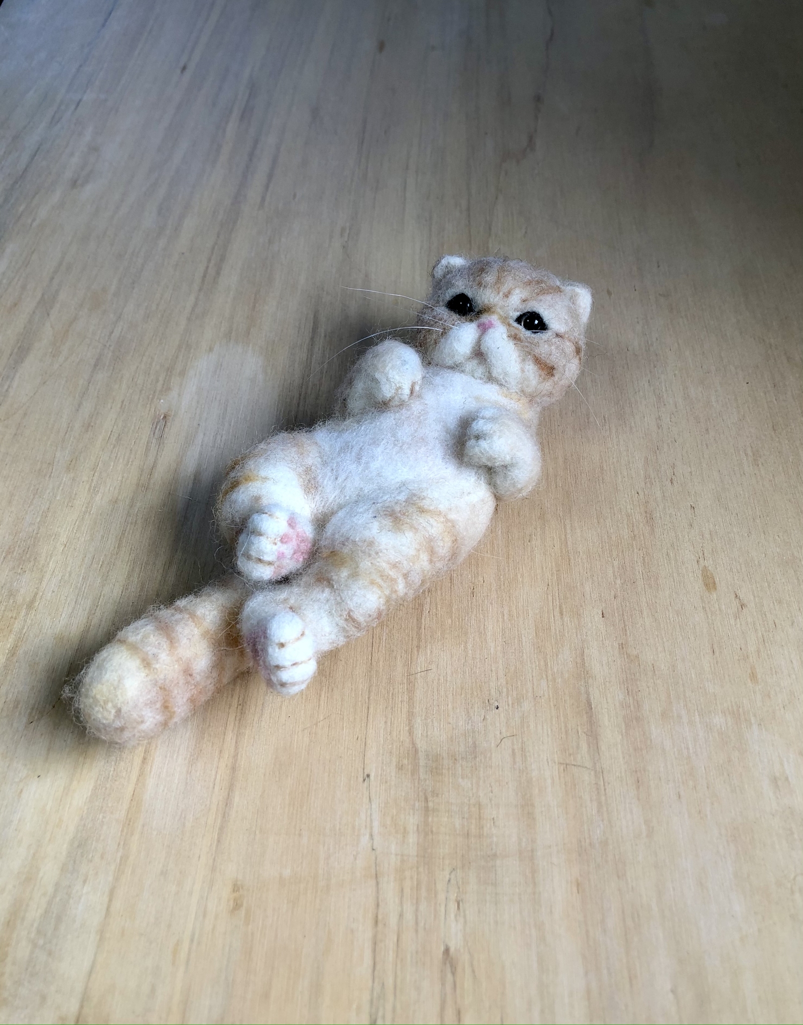 ブチャねこ エキゾチックショートヘア Haru S Gallery Minne 国内最大級のハンドメイド 手作り通販サイト