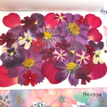 ♡new♡  ♡可愛い押し花セット♡ ♡使いやすい少量の押し花セット♡