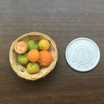 ミニチュアみかん色々