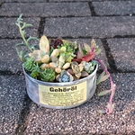 多肉植物リメ缶寄せ植え[グレー②]