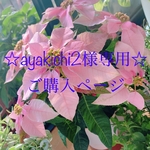 ☆ayakichi2様専用☆ご購入ページ