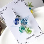 （B級品）天空の実〜青空〜