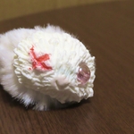 すねこすり(小)  隻眼