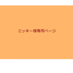 ☆★ミッキー 様専用オーダーページ★☆（ミニチュアフード）