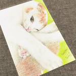 ペットオーダー似顔絵