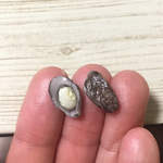 【再販！】ちいさな殻付き牡蠣◎2個セット