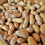【送料無料】無農薬！ 生落花生 500g【栄養素たっぷり！】