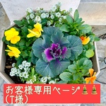 お客様専用ページ💐(T様)