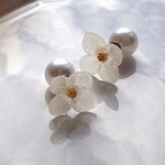 本物あじさいの一粒パールキャッチピアス