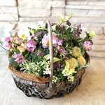 冬のお花をいっぱい詰め込んだカゴギャザリング寄せ植え