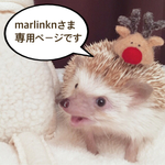 〈marlinknさま🌼専用ページです〉